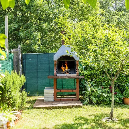 Amaryllis Apartament *